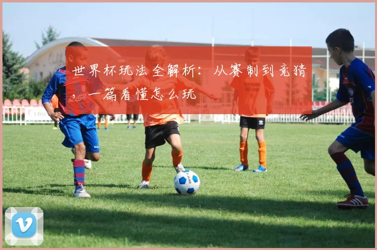 世界杯玩法全解析：从赛制到竞猜，一篇看懂怎么玩
