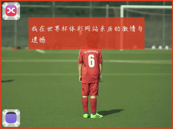我在世界杯体彩网站亲历的激情与遗憾
