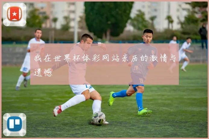 我在世界杯体彩网站亲历的激情与遗憾