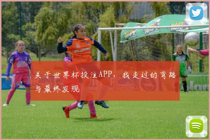 关于世界杯投注APP，我走过的弯路与最终发现