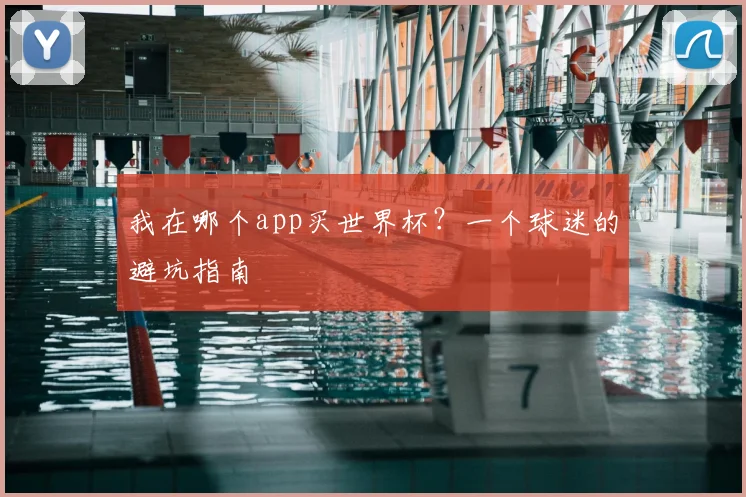 我在哪个app买世界杯？一个球迷的避坑指南