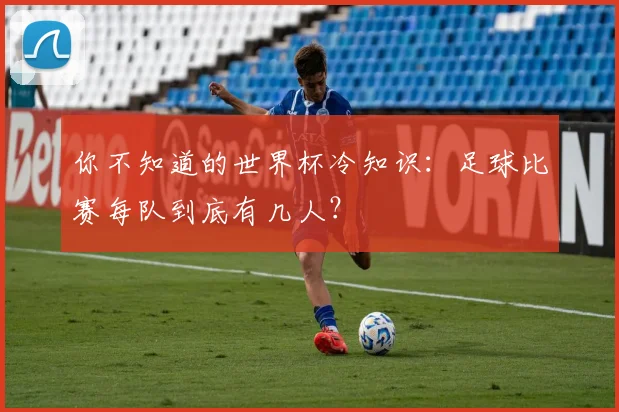 你不知道的世界杯冷知识：足球比赛每队到底有几人？
