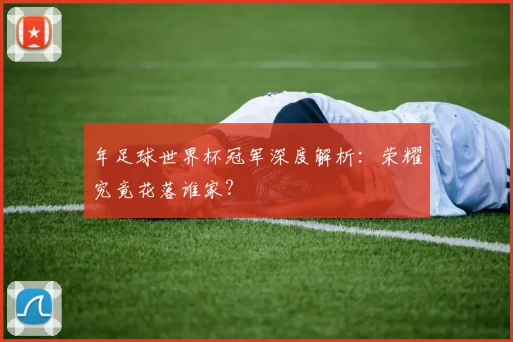 年足球世界杯冠军深度解析：荣耀究竟花落谁家？