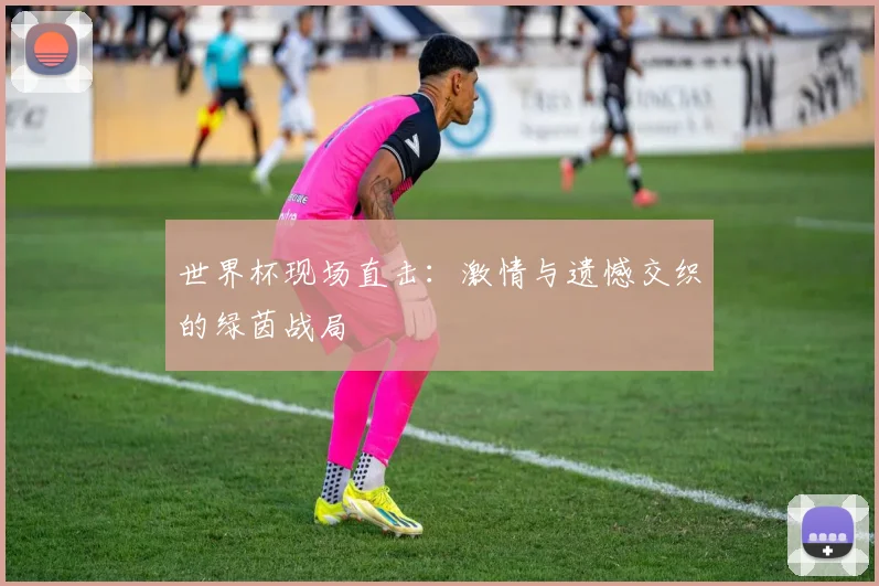 世界杯现场直击:激情与遗憾交织的绿茵战局