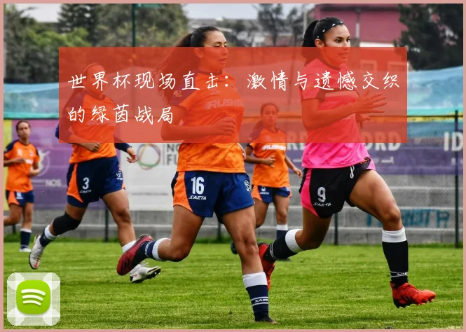 世界杯现场直击:激情与遗憾交织的绿茵战局