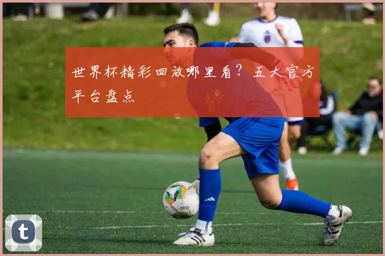 世界杯精彩回放哪里看？五大官方平台盘点