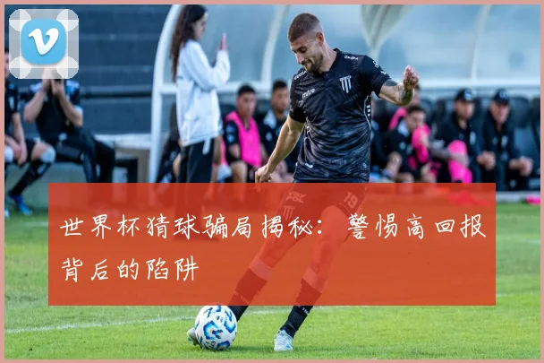 世界杯猜球骗局揭秘：警惕高回报背后的陷阱