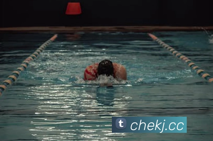 App Interface Preview