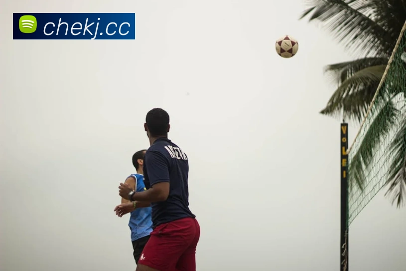 云开体app官网登录入口APP 封面图